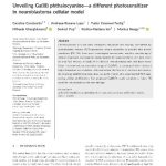 {{brizy_dc_image_alt entityId=