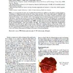 {{brizy_dc_image_alt entityId=