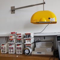 {{brizy_dc_image_alt entityId=