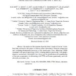 {{brizy_dc_image_alt entityId=