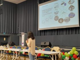 {{brizy_dc_image_alt imageSrc=