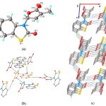 {{brizy_dc_image_alt entityId=