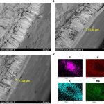 {{brizy_dc_image_alt entityId=