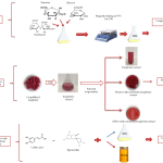 {{brizy_dc_image_alt entityId=