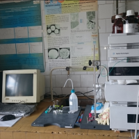 {{brizy_dc_image_alt entityId=