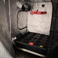 {{brizy_dc_image_alt entityId=