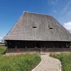 {{brizy_dc_image_alt entityId=