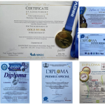 {{brizy_dc_image_alt entityId=