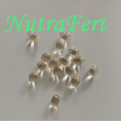 {{brizy_dc_image_alt entityId=