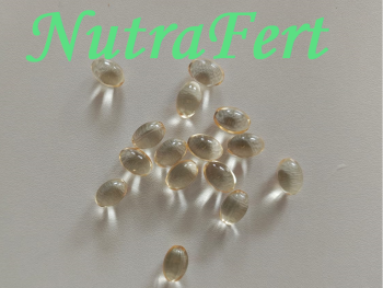 {{brizy_dc_image_alt entityId=