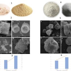 {{brizy_dc_image_alt entityId=