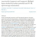 {{brizy_dc_image_alt entityId=