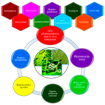 {{brizy_dc_image_alt entityId=