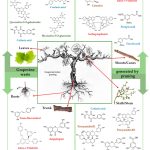 {{brizy_dc_image_alt entityId=