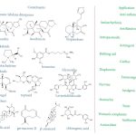 {{brizy_dc_image_alt entityId=