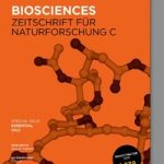 {{brizy_dc_image_alt entityId=