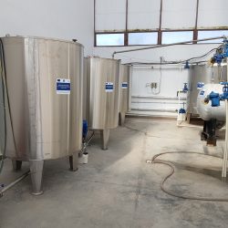 {{brizy_dc_image_alt entityId=