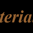 {{brizy_dc_image_alt entityId=