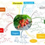 {{brizy_dc_image_alt entityId=