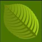 {{brizy_dc_image_alt entityId=