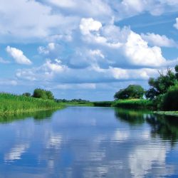 {{brizy_dc_image_alt entityId=