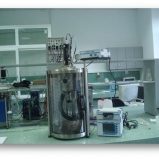 {{brizy_dc_image_alt entityId=